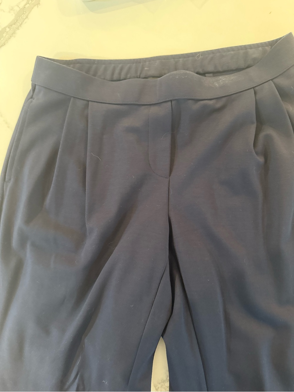J. Jill Navy Pleated Front Trousers